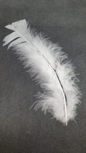 Plume Blanche