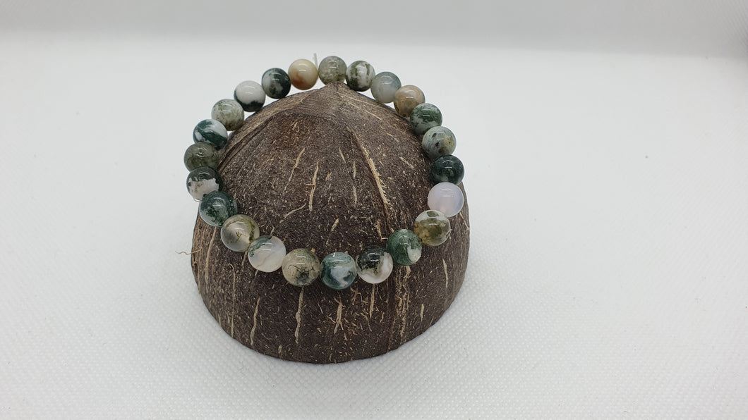 Bracelet en Agate Arbre 8mm