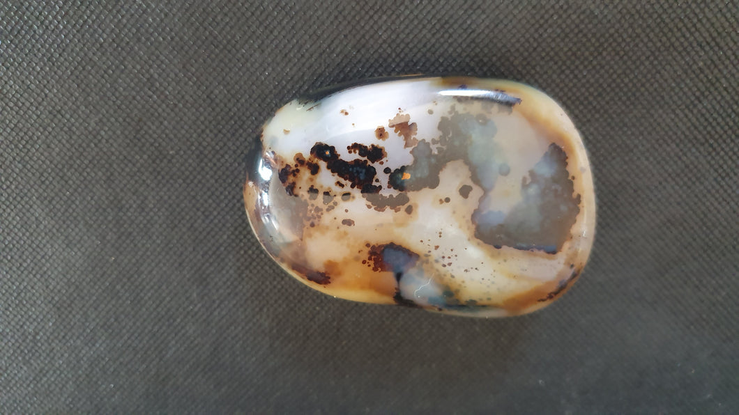 Galet en Agate Dendritique de Madagascar